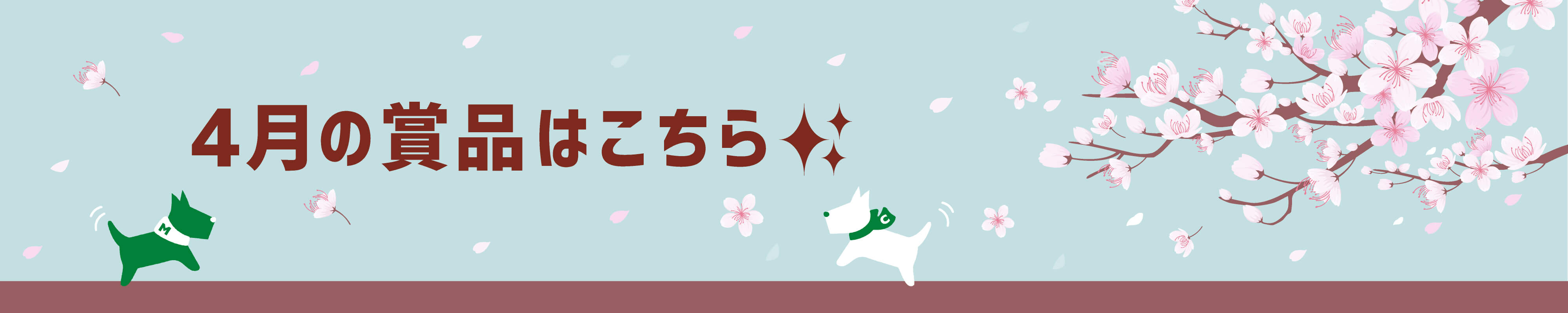 5月の賞品はこちら